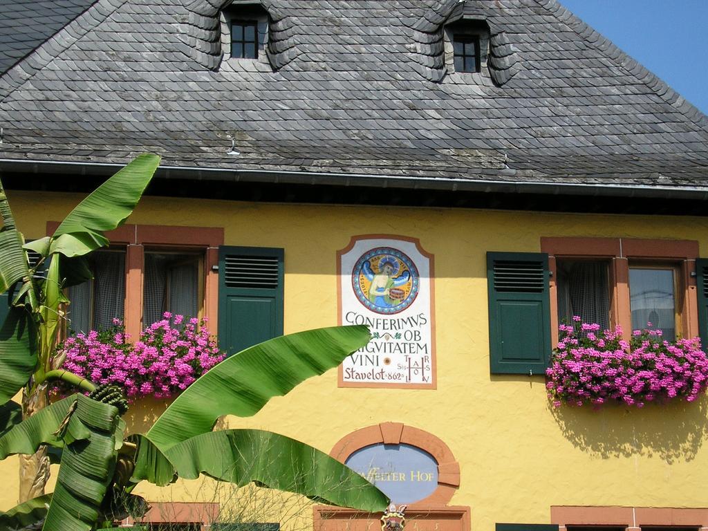 Kröv Bio-Weingut Staffelter Hofゲストハウス エクステリア 写真